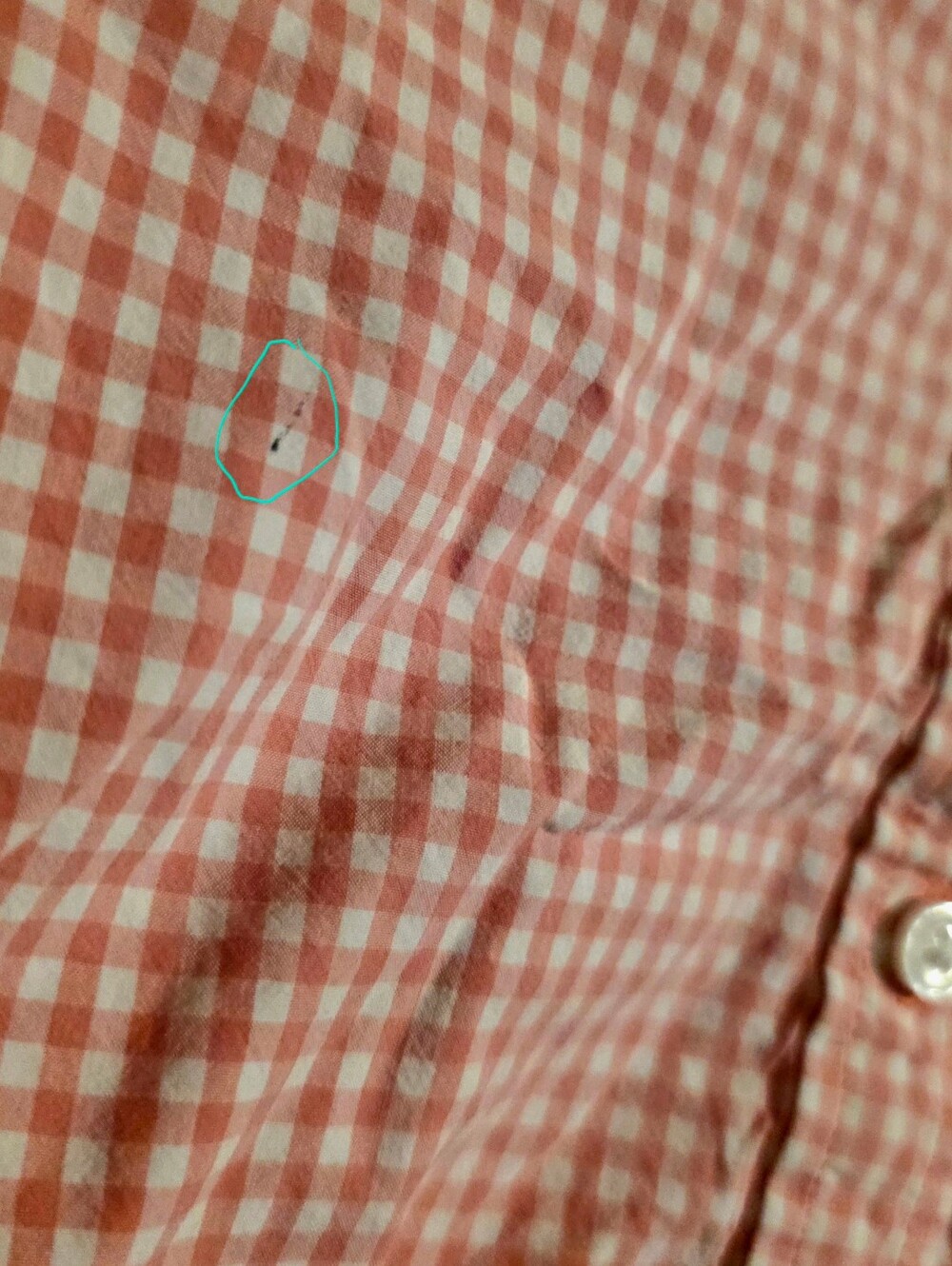 IZOD Pink & White Gingham 100% Cotton Long Sleeve Button-Up Shirt Women's 2X - Picture 5 of 9